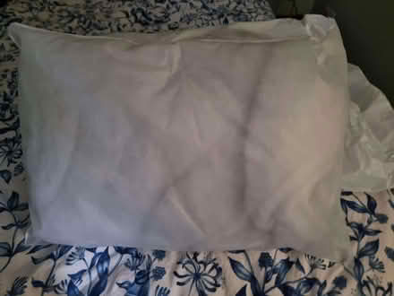 Photo of free Three unused pillows (Cliffe BN7) #1