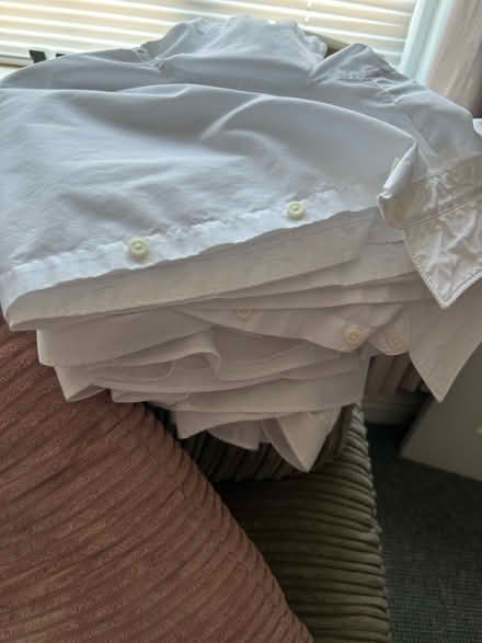 Photo of free School shirts (Axminster) #1