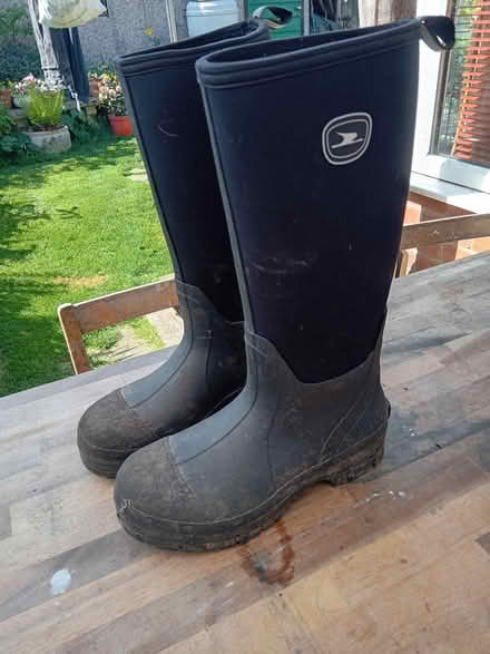 Photo of free Size 8 new wellies (Buriton GU31) #1