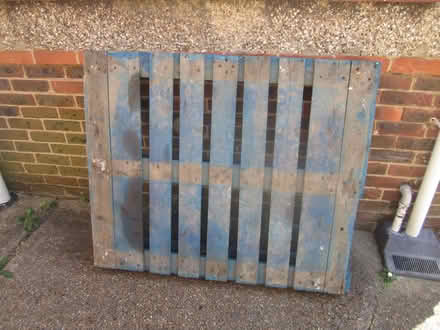 Photo of free Euro size pallet (Portslade) #1