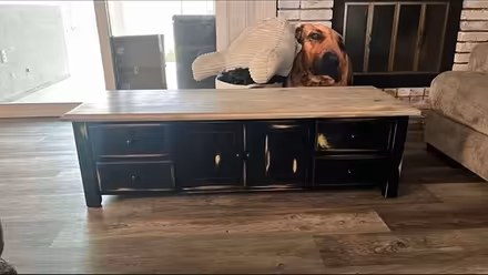 Photo of free Coffee table (Fairmount park) #2