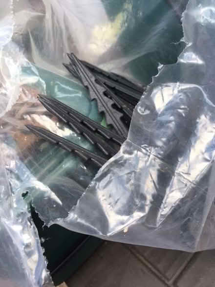 Photo of free pegs (Headington OX3) #1