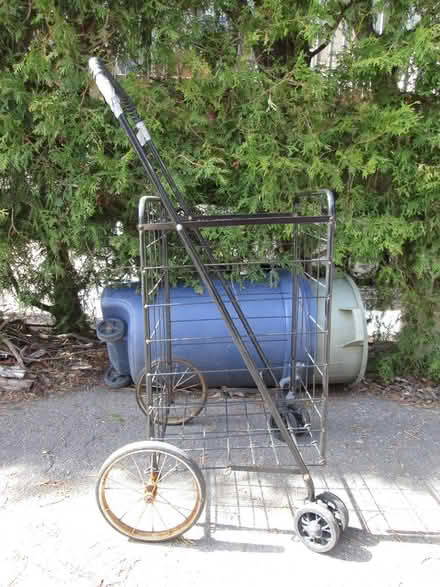 Photo of free shopping cart (Old Ottawa South) #1