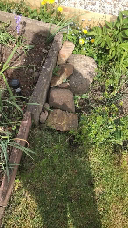 Photo of free Rockery stone (Horsehay TF4) #1