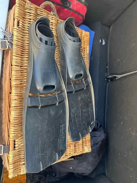 Photo of free Flippers (Dean Court OX2) #1