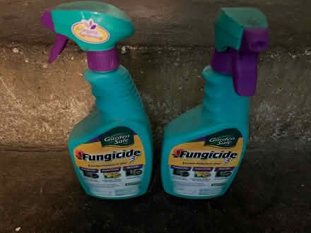 Photo of free Garden Safe Brand - Fungicide Spray (Portola District, SF) #1