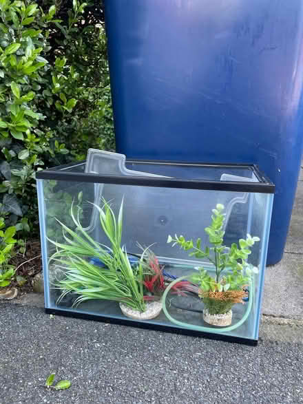 Photo of free Aquarium (Mill Hill (NW7)) #1