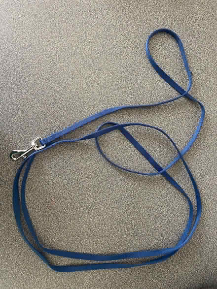 Photo of free Puppy indoor training line 2.5 m (Histon CB24) #1