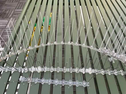 Photo of free Pigeon Spikes (Cobble) #2