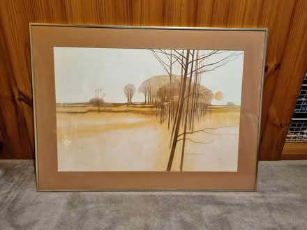 Photo of free Framed posters (Pennant Hills) #3