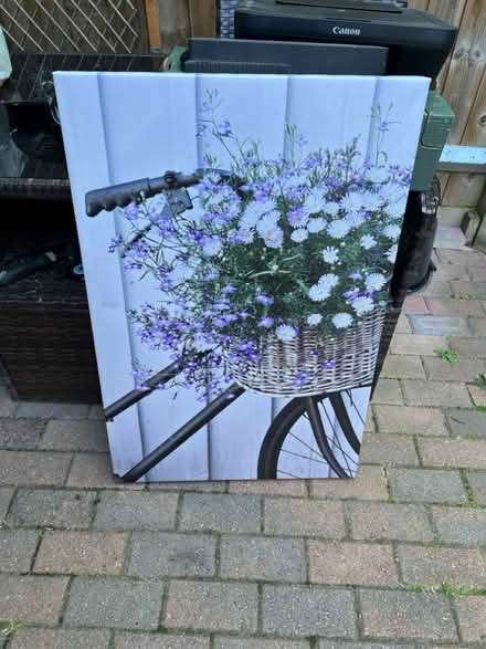 Photo of free Large Canvas (Cambridge CB3) #1