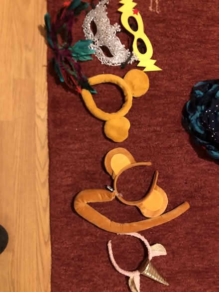 Photo of free costumes (West Berkeley) #2