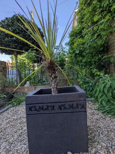 Photo of free Very heavy pretty outdoor garden pot dark grey (Saint George's CO3) #1