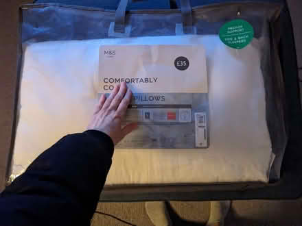 Photo of free One Marks and Spencer pillow (Mousehold NR3) #1