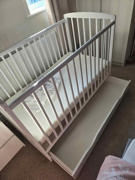 Photo of free Cot (SK13) #2