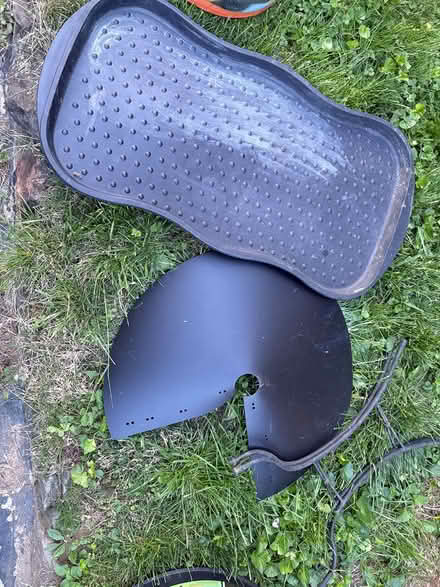Photo of free Boot mat, small tray, squirrel cone (Drexel Hill) #1