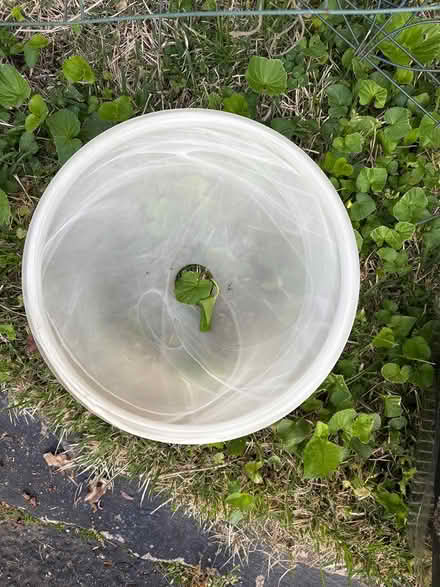 Photo of free items from garage clean out (Drexel Hill) #2