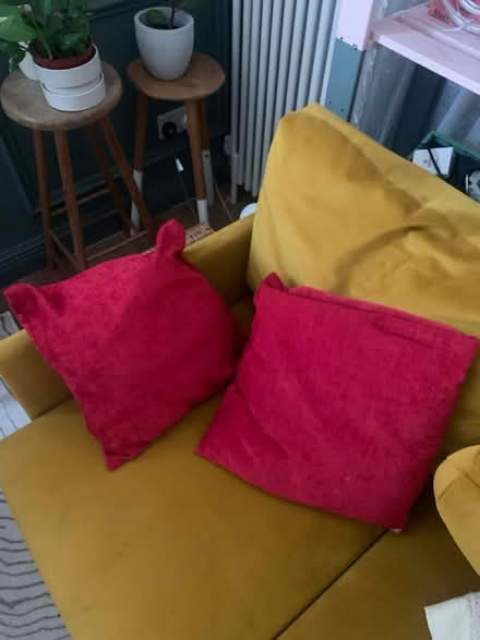 Photo of free Pillows/Cushion x2 (Walthamstow E17) #2