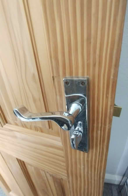 Photo of free Internal pine door (BR3 Elmers End) #2