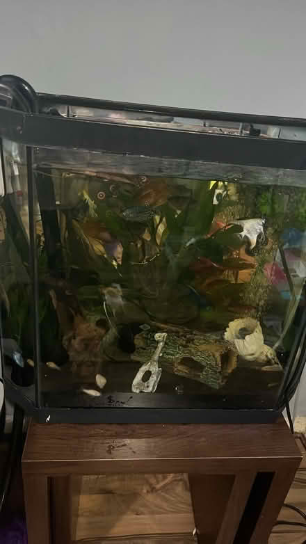 Photo of free Fish tank (BD18) #1