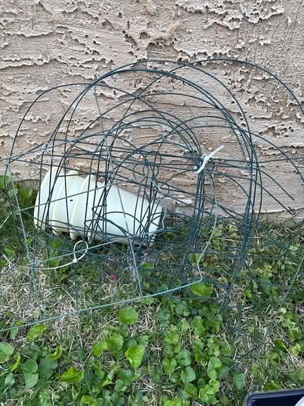 Photo of free Garden fencing (Drexel Hill) #2