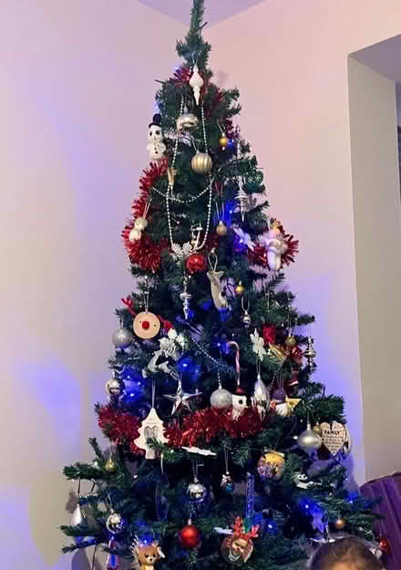 Photo of free Xmas tree (Tidbury Green B90) #1