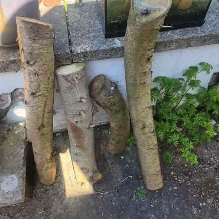 Photo of free Logs (Cromford DE4) #1