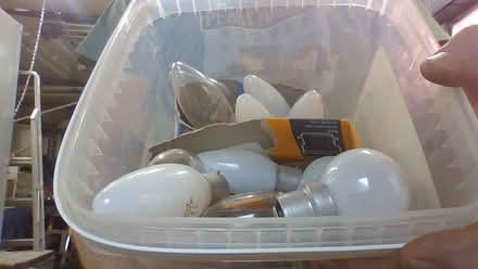 Photo of free Old Style Light Bulbs (DA5) #1