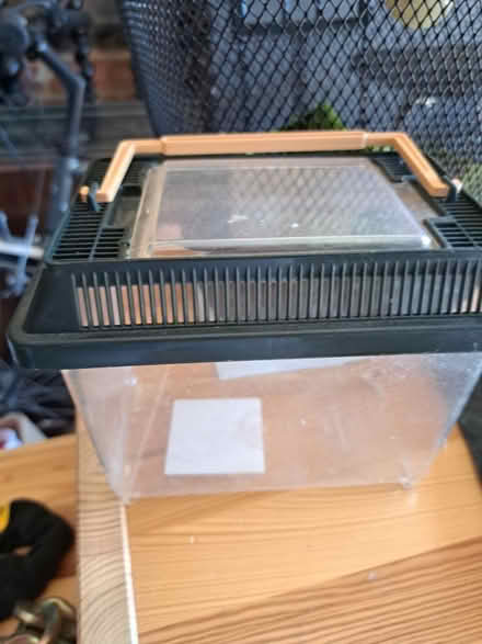 Photo of free Bug house (Bexhill-on-Sea) #1