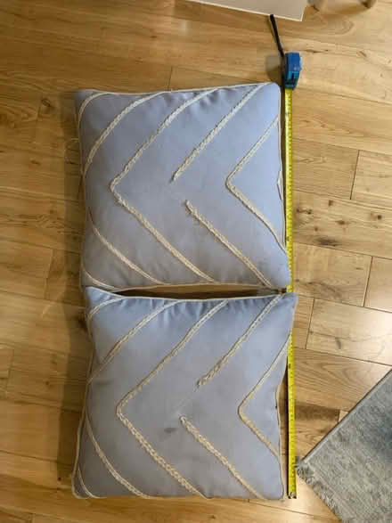 Photo of free 2 x feather cushions (Blackheath SE3 7DH) #1