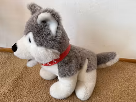 Photo of free Toy Stuffed Husky (Cupertino - DeAnza and 280) #2