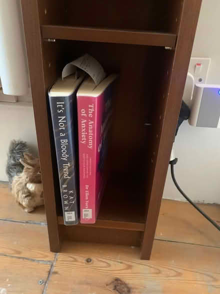Photo of free Tall Adjustable Walnut Bookcase (CT11) #1