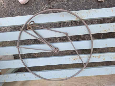 Photo of free Some sort of hanger (Forestgreen) #1