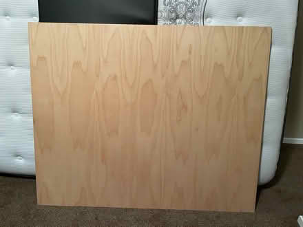 Photo of free Plywood panel (Alta Vista / Riverside) #1