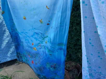 Photo of free Shower curtains (OX4 3) #4