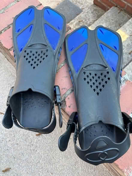 Photo of free Swim Fins (M16 Whalley Range) #2