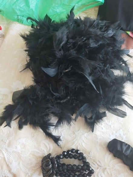Photo of free Fancy dress (Wickford SS12) #3