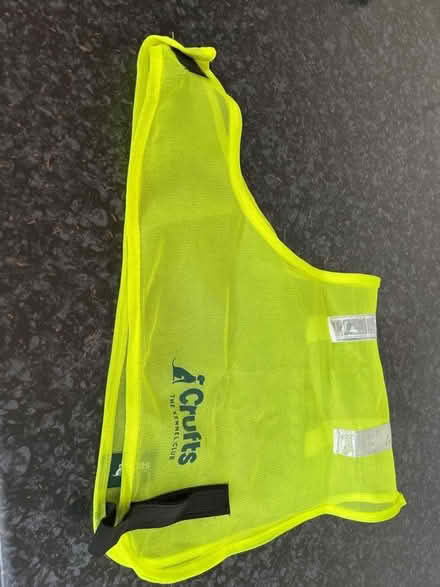 Photo of free Dog vest (Winkfield Row RG42) #1