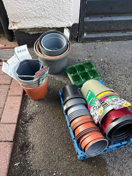 Photo of free Plant pots (Poulton FY3) #1