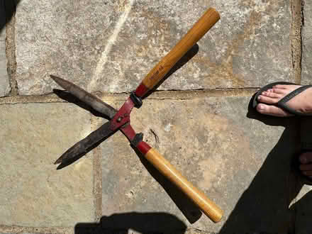 Photo of free Garden Shears (Woodford IG8) #2