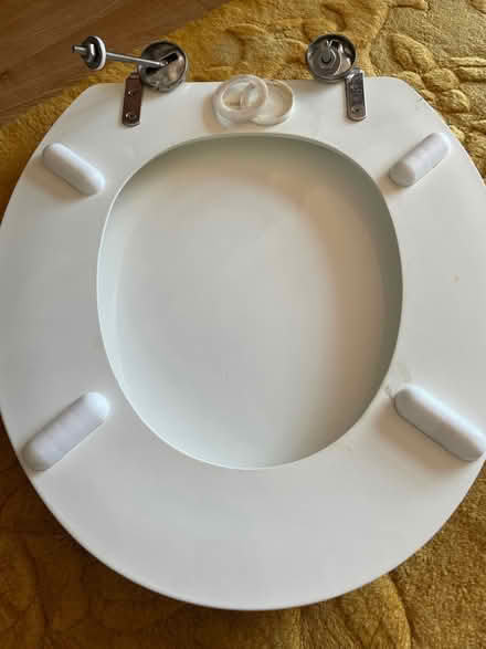 Photo of free Scallop toilet seat (Horningsea CB25) #3