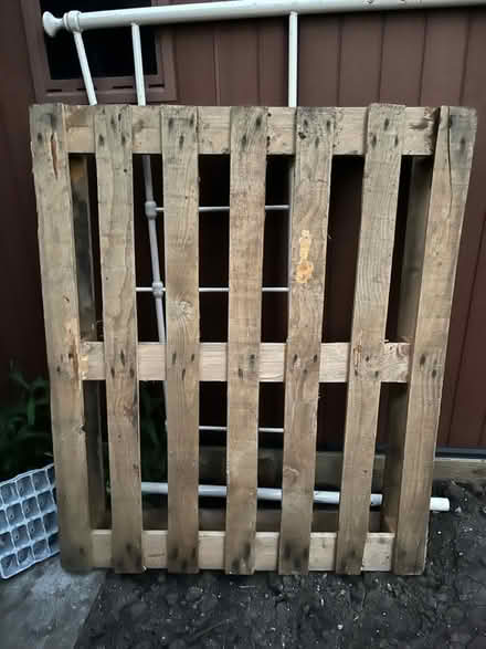 Photo of free Pallet (Kemsing in Sevenoaks TN15) #2