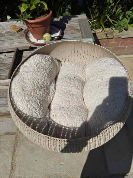 Photo of free Dog Bed / Cat Bed (Woodford IG8) #2