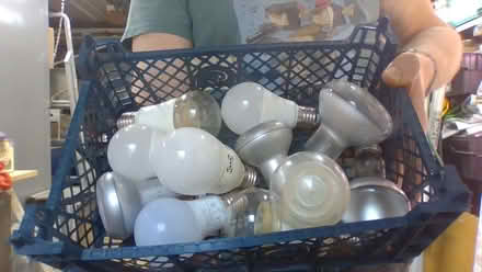 Photo of free Large Edison Screw Lightbulbs (DA5) #1