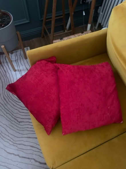 Photo of free Pillows/Cushion x2 (Walthamstow E17) #1