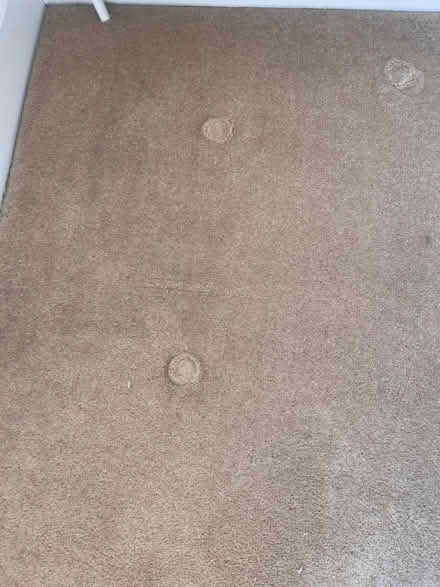 Photo of free 2 Carpets (Kt3 4re) #2