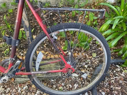 Photo of free Men’s Mountain Bike (PL3) #2