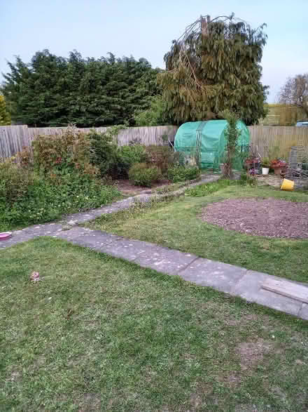 Photo of free Small polytunnel (Great Shefford RG17) #1