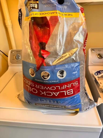 Photo of free Big bag of sunflower seeds (Crofton) #1