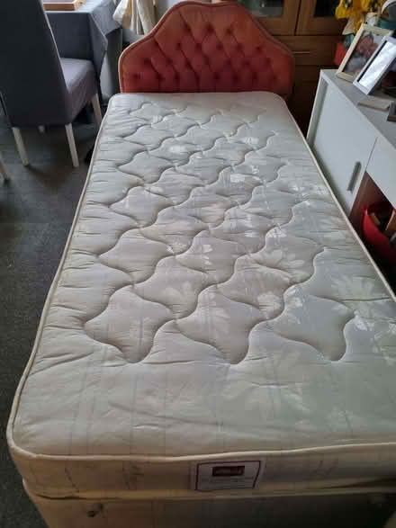 Photo of free Single bed (Havant PO9) #2